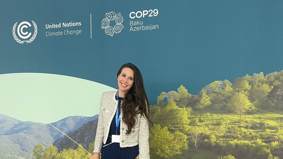 Иллюстрация к новости: UN Climate Change Conference Baku